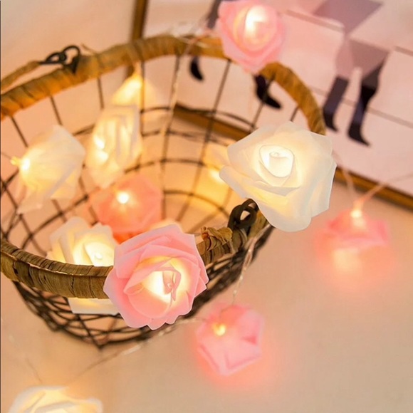 WHITE & PINK AESTHETIC ROSE STRING LIGHTS - Picture 3 of 6